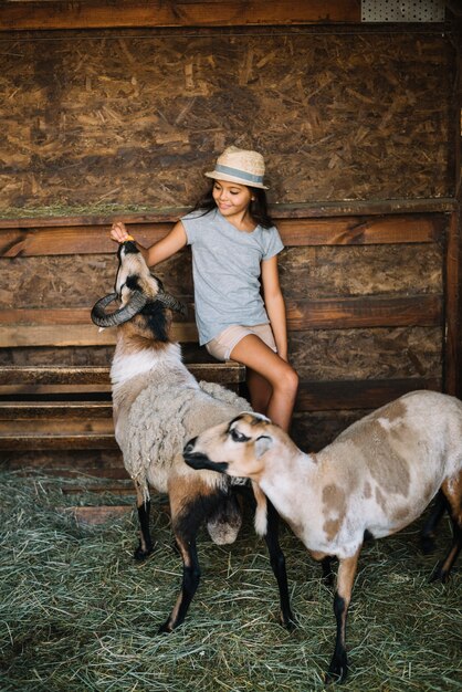 Девочка сидит в сарае, кормящем овец