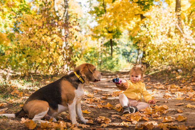 秋に彼女のビーグル犬と一緒に座っている女の子は森で葉します。