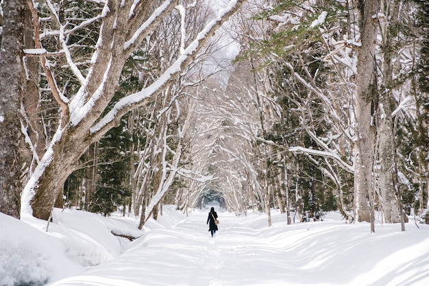 девушка в снежном лесу в храме Тогакуши, Япония