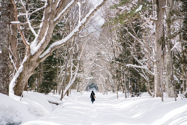 戸隠神社、日本で雪の森の中の少女