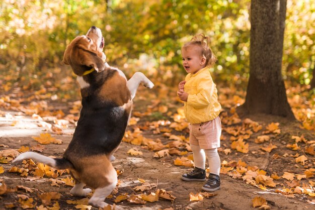 彼女のペットの犬の前に立っている女の子は森で彼の後ろ足に立つ