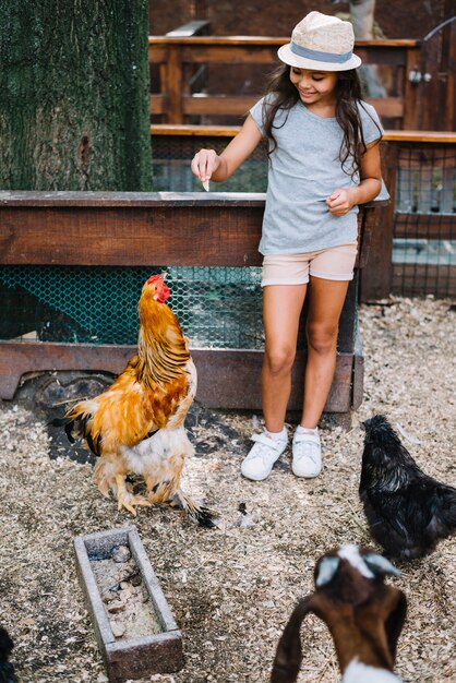 Girl wearing hat feeding food to hens in the farm