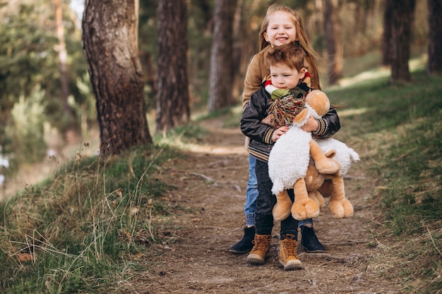 Ragazza con il suo fratellino insieme nella foresta