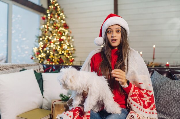 Девушка с маленькой собачкой на руках сидит на диване в канун Нового года. Друзья вместе.