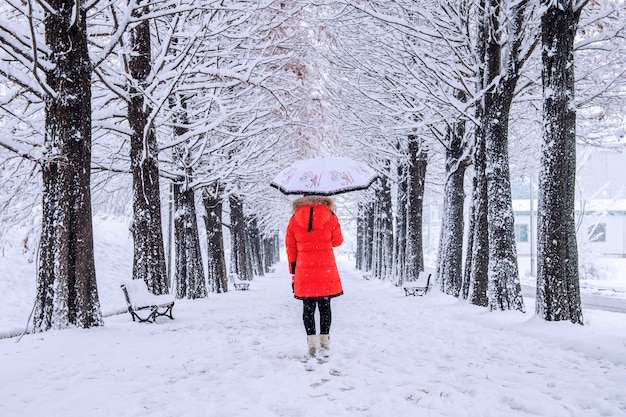 Girl with umbrella walking on the path and row trees. Winter