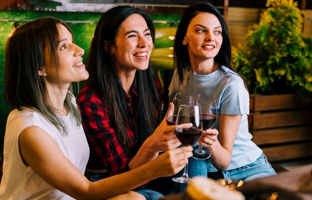 Girls smiling at toasting wine at party