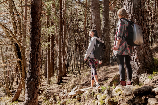 Free photo girls walking outdoors on a sunny day