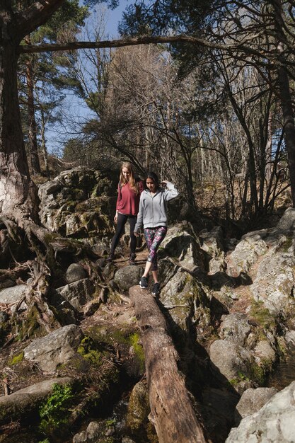 Girls walking through the forest