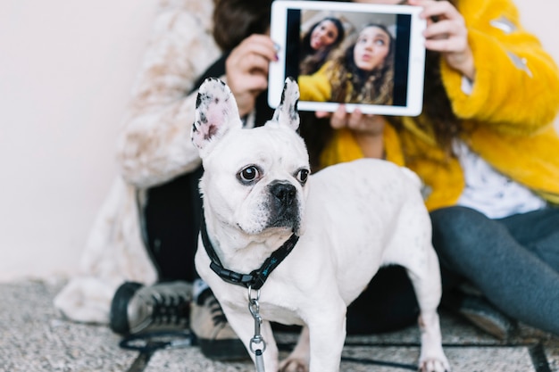 Foto gratuita ragazze con cane e tablet