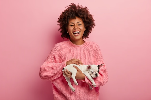巻き毛の髪型をした嬉しいアフリカ系アメリカ人の女性は、小さな子犬を抱きしめ、元気で、壁とワントーンで特大のピンクのジャンパーを着ています。ペットの世話と動物の概念。家族の素敵なメンバー