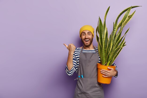 緑のヘビの植物の鍋で花屋でポーズをとるうれしいセールスマン