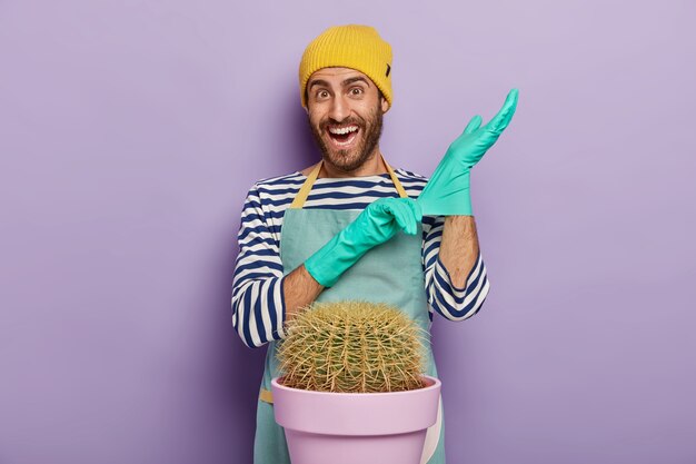 Glad unshaven male florist or gardener puts on rubber gloves, smiles happily, wears uniform, going transplant cactus, poses indoor. Gardening and planting concept