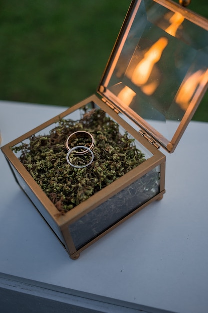 Glass box with wedding rings stands on white table