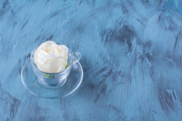 Tazza di vetro di rosa bianca posta sul blu.