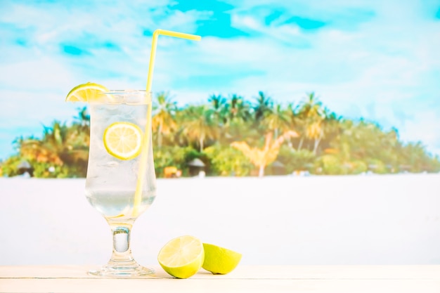 Glass of fresh chilling drink with lime and sliced citrus