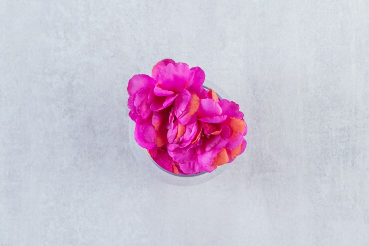 Free Photo a glass of fresh purple flower, on the white table.