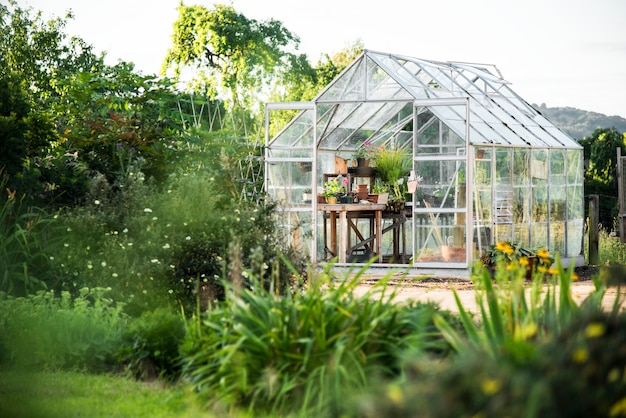 Free photo glass greenhouse