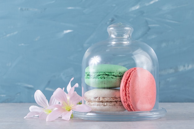Glass jar of colorful sweet macaroons on stone background. 