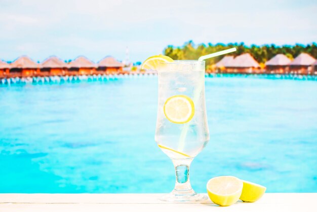 Glass of juicy lemon drink with straw and sliced citruses