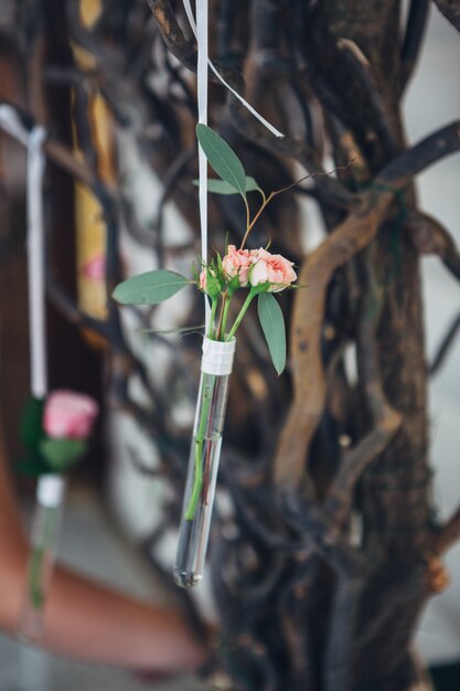 Glass tubes with pink flowers hang on the wall