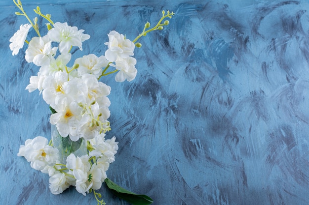Free photo glass vase of white natural flowers on blue.