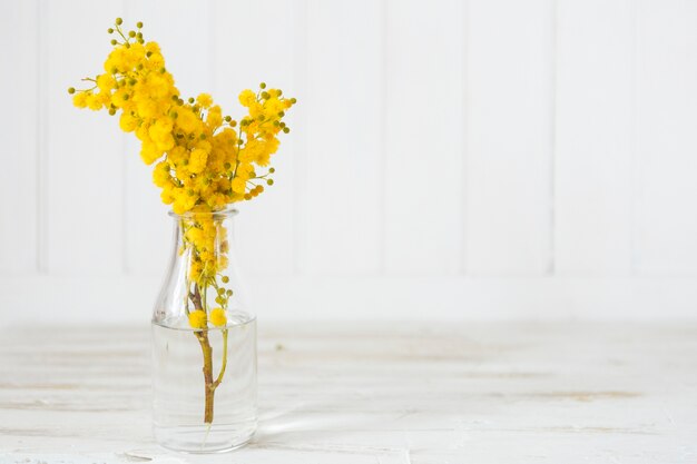 きれいな黄色の花とガラスの花瓶