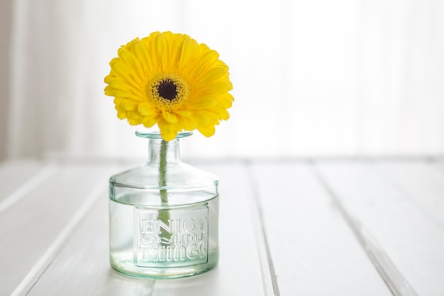 Glass vase with yellow daisy