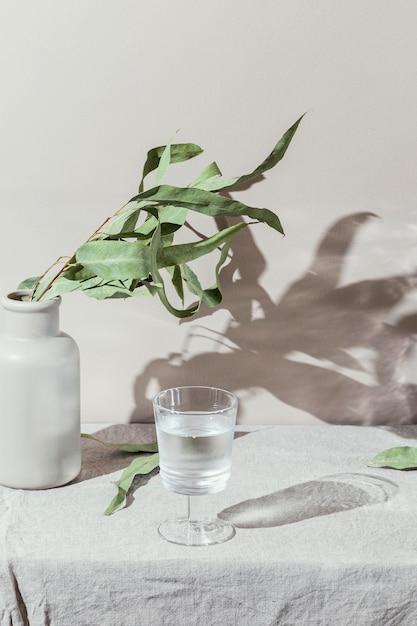 Glasses of water with shadow