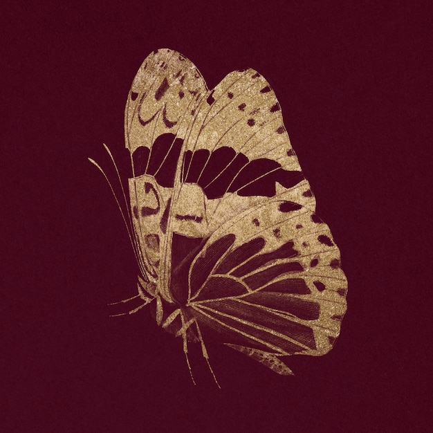 Free photo glittery gold butterfly vintage animal illustration