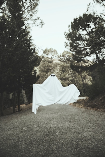 Free photo gloomy ghost flying above countryside route