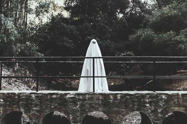 Free photo gloomy ghost standing on overpass in forest