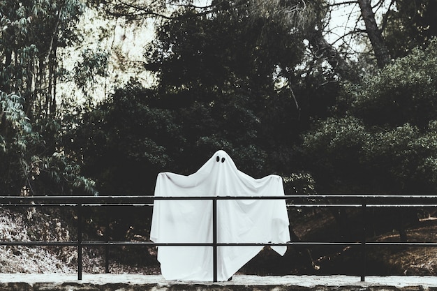 Foto gratuita gloomy fantasma che si leva in piedi sul passaggio con la diffusione delle mani in foresta