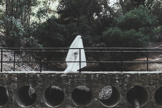 Free photo gloomy ghost walking on overpass in forest
