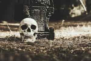 Free photo gloomy skull and tombstone placed on ground