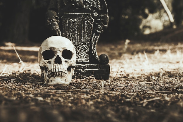 Gloomy skull and tombstone placed on ground