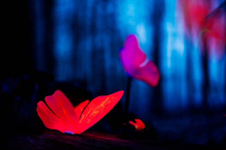 Free Photo glowing insects in the night forest
