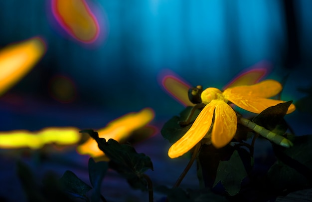 Glowing insects in the night forest