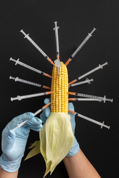 Free photo gmo chemical modified food corn