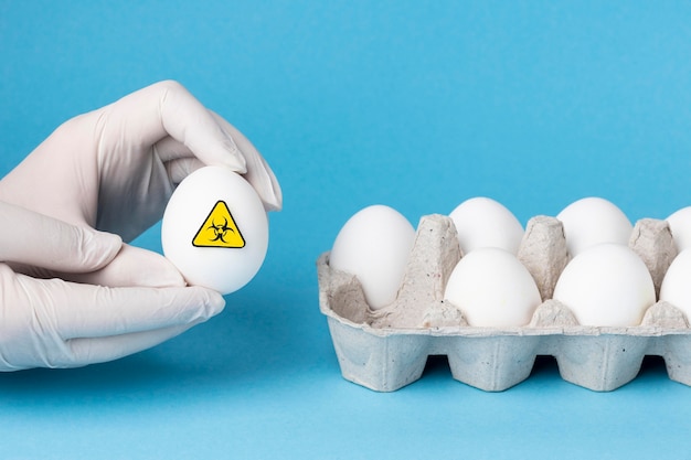 無料写真 段ボール箱の遺伝子組み換え卵食品