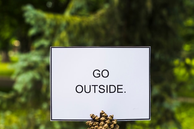 Go outside card on pinecone against green tree