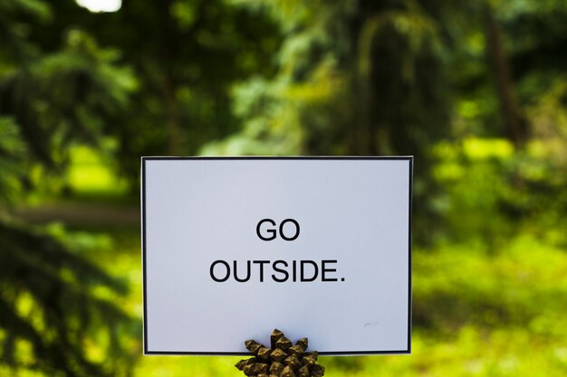 Go outside card on pinecone