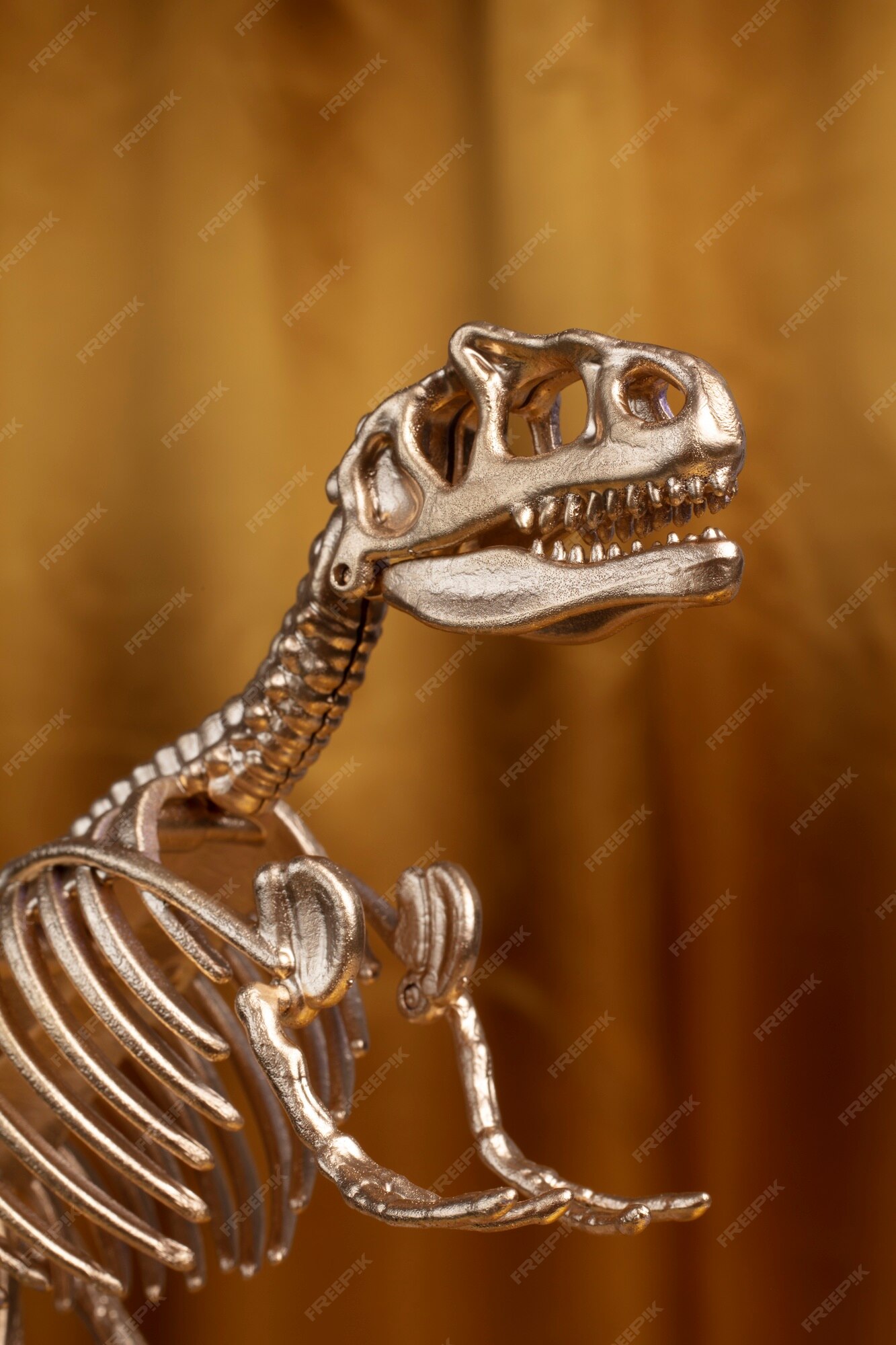 Page 2 T Rex Head Images - Free Download on Freepik