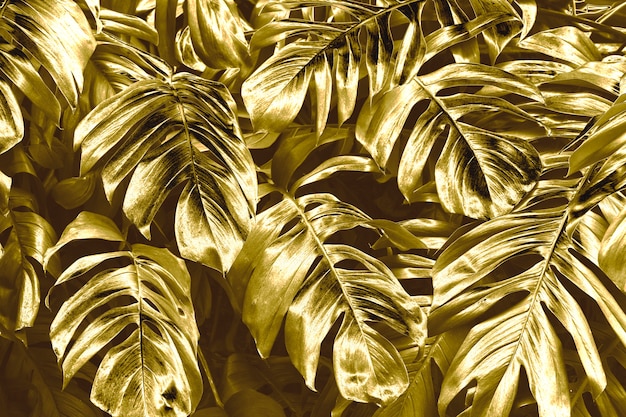 Free photo gold leaves background