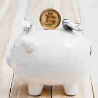 Free photo golden bitcoins over the slot of white piggybank on wooden table