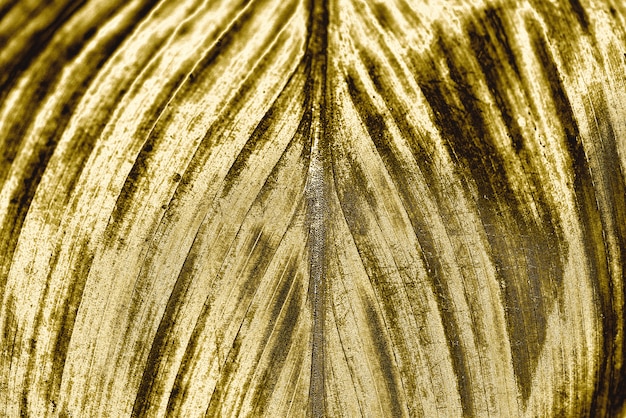 Golden leaf background