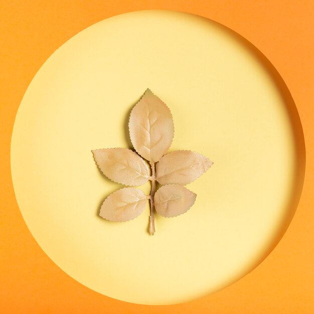 Golden leaf inside paper circle concept