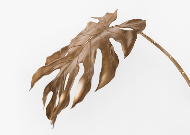 Free photo golden monstera leaf on a white mockup