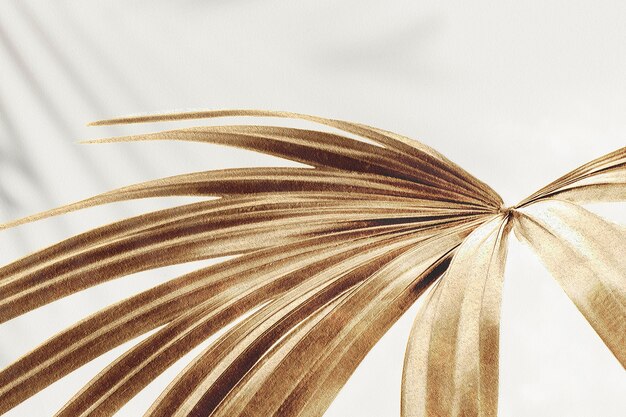 Golden palm leaves background design resource