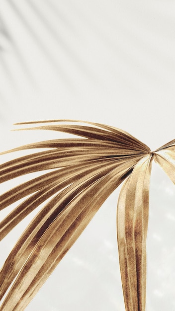 Golden palm leaves background design resource