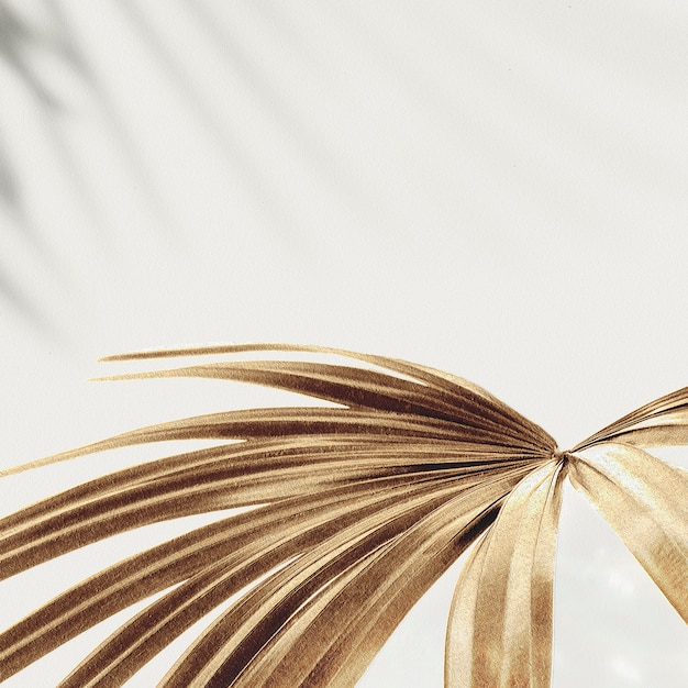 Golden palm leaves background